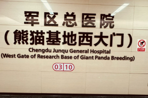 metro-line3-chengdu-junqu-general-hospital-station