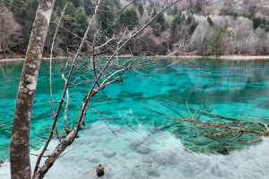 five-flower-lake-jiuzhaigou-16
